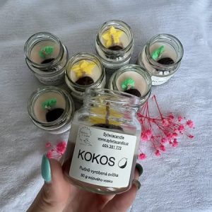 Kokos malý 🥥🌴