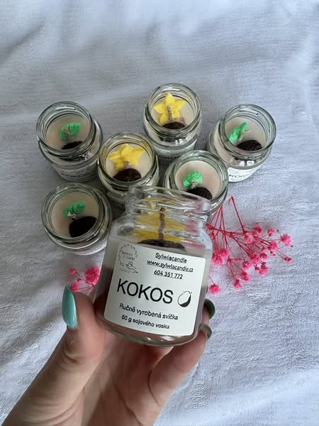 Kokos malý 🥥🌴