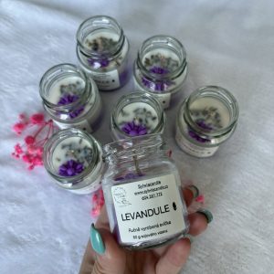 Levandulka malá 🪻