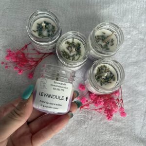 Levandulka mini🪻