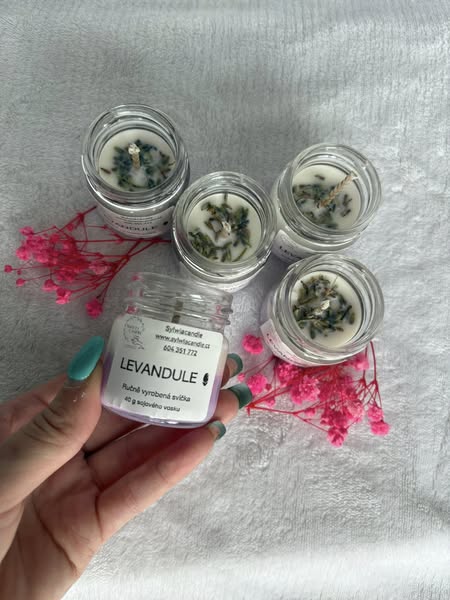 Levandulka mini🪻