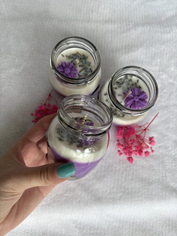 Levandulka střední 🪻