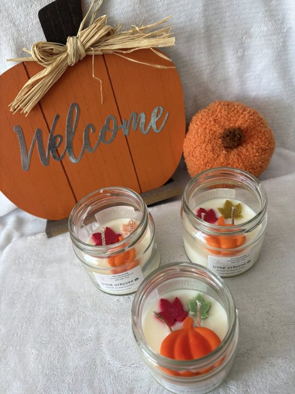 Dýně střední sklo 🎃